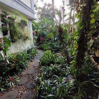  Casa para alugar São Paulo casa para vender em São Paulo locação de casa São Paulo