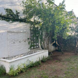  Imobiliaria São Paulo aluguel de casa São Paulo aluguel de apartamento São Paulo casa a venda São Paulo