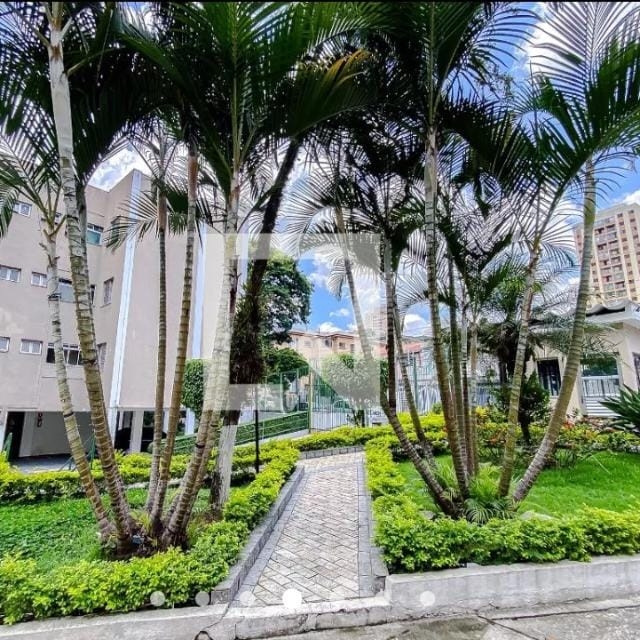 Apartamento na Mooca Casa para alugar São Paulo casa para vender em São Paulo locação de casa São Paulo